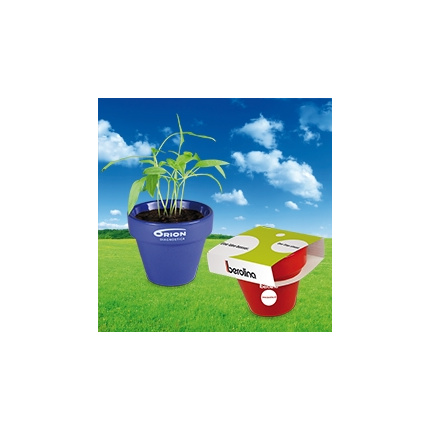 Farbiger Blumentopf - Topgiving